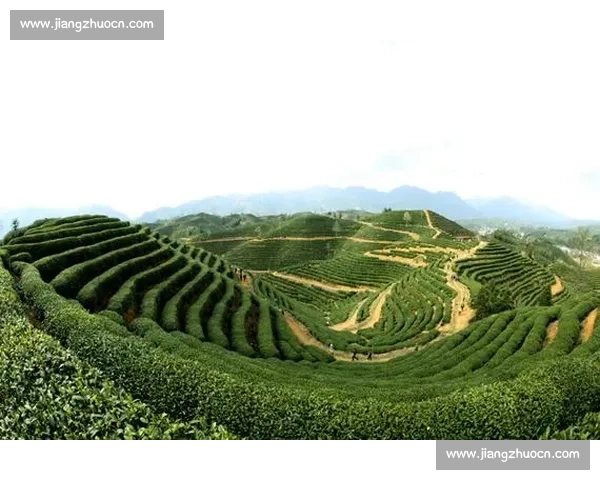 绿动浙江:体育经济的生态突围 绿动浙江:体育经济的生态突围
